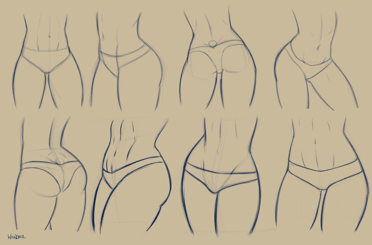 Wendel Fragoso On Twitter Drawing Hips I Hips Anatomy Hips Human Body Furry Deviantart Women Clipstudiopaint Wacombrasil