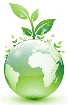 In the Professional Pest Industry We Handle many Different Types of Products and Chemicals. We Make it Our Priority to Stay Up-To-Date on IPM Standards
#IPM #Safety #Alpha
alphahomepestcontrol.com/integrated-pes…