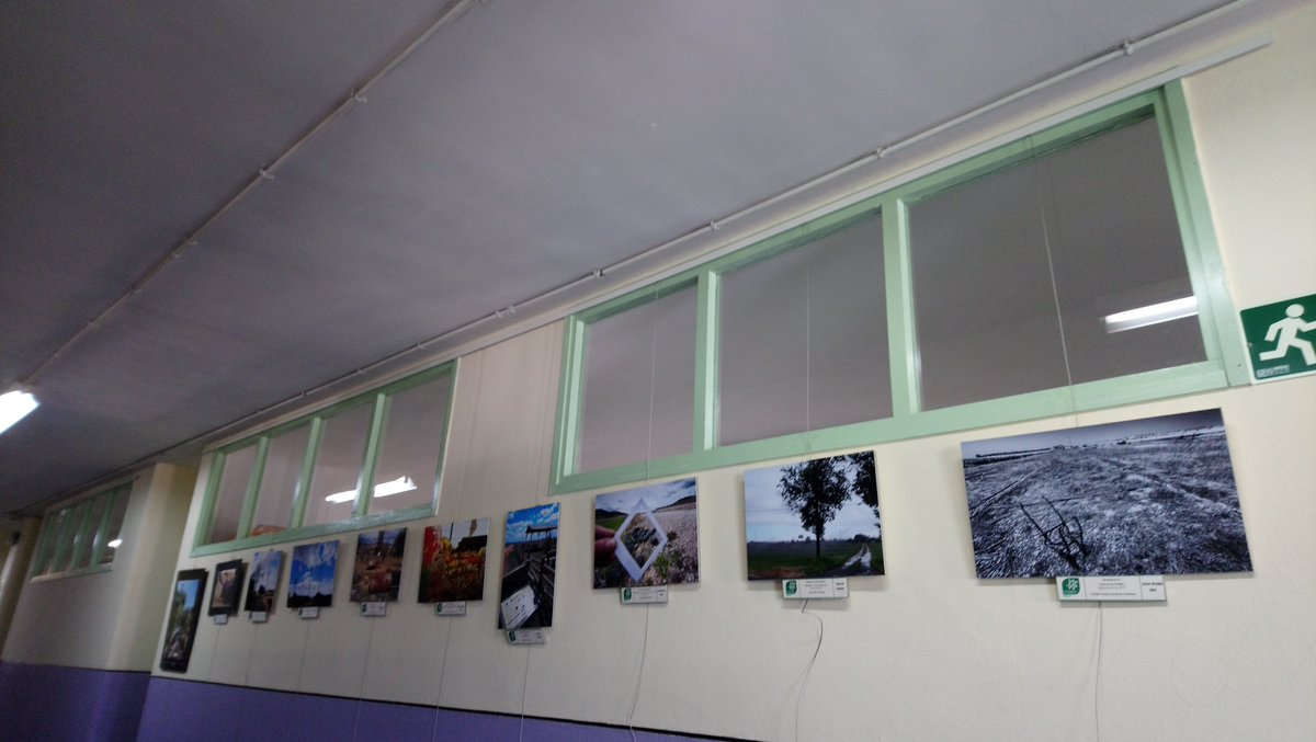 EZancara's tweet photo. Mañana es el último día en Villarrobledo de la Exposición de fotografías del Concurso José Manuel Pérez Pena de @EcoEnAccionAb en el @octavio_ies después de hacer estado en el @IESCENCIBEL https://t.co/4OVtwiZBJL