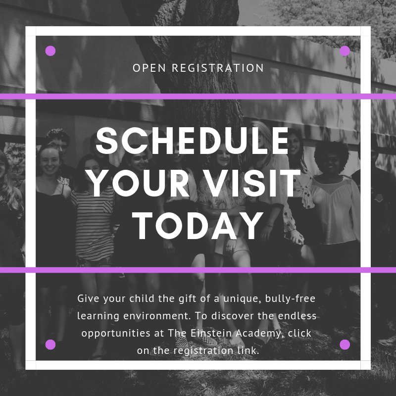 TheEinsteinAcad's tweet photo. Open Registration is underway for The Einstein Academy! If you are on the hunt for a unique, #bullyfree environment for your child(ren) to flourish, look no further! To learn more visit https://t.co/97DFy1UZQl today! https://t.co/ZfVLFAEMG3