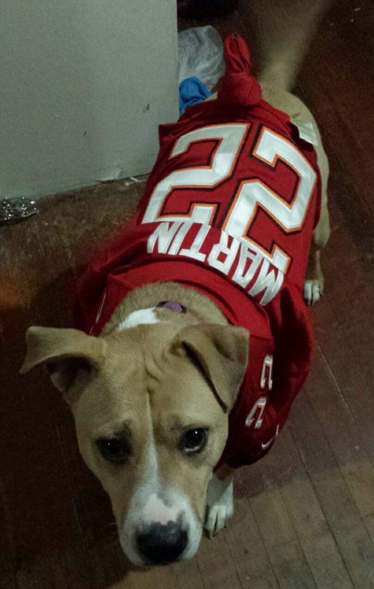 buccaneers dog jersey