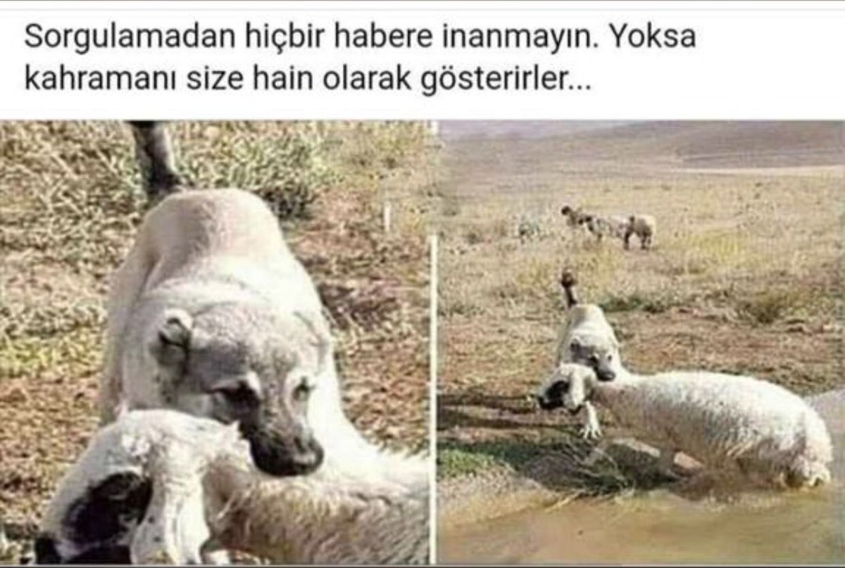 “Yiğidi öldür ama hakkını yeme” demişler. Aslında siz böyle bir Başkanı haketmiyorsunuz. Size ve dar kafalarınıza fazla geliyor anlaşılan <a href="/nihatcftc/">Nihat ÇİFTÇİ</a> <a href="/sanliurfabld/">Şanlıurfa Büyükşehir 🇹🇷</a>