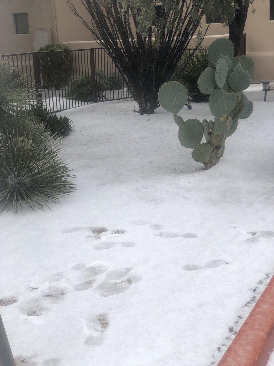 azlocal_lindsey's tweet image. Arizona weather in Carefree. What is happening?! #snowinaz #azweather #azcentral #fox10 @azcentral @FOX10Phoenix