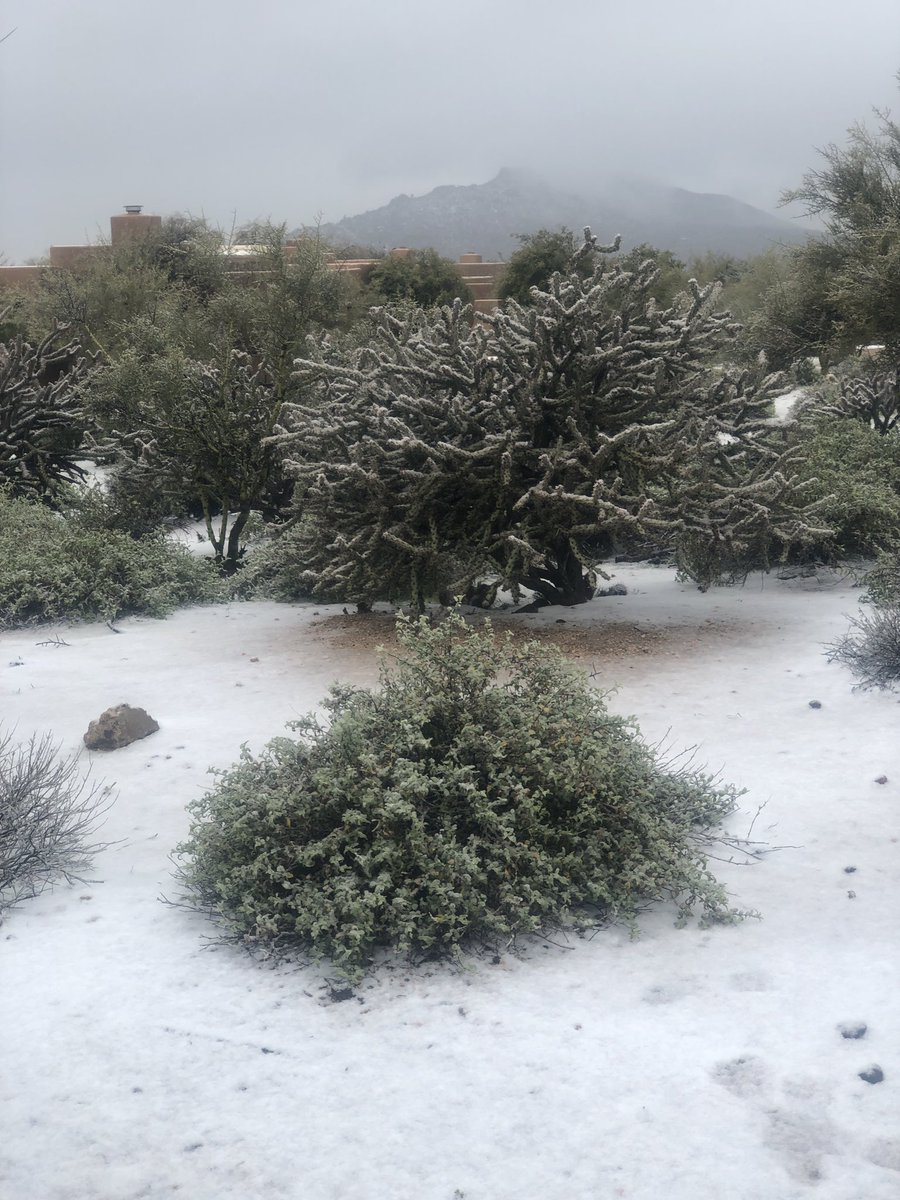 azlocal_lindsey's tweet image. Arizona weather in Carefree. What is happening?! #snowinaz #azweather #azcentral #fox10 @azcentral @FOX10Phoenix