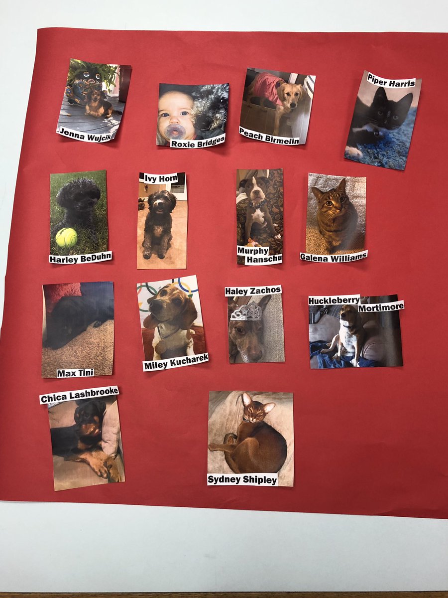 ms_hornn's tweet photo. OLMS Teacher’s Pet contest returns next week! Vote for your favorite pet by placing money in their jar at lunch! All proceeds go to the Detroit Dog Rescue! #NJHSatOLMS #detroitdogrescue #teamIvy 🐶🐱 https://t.co/EMAhqljJLh