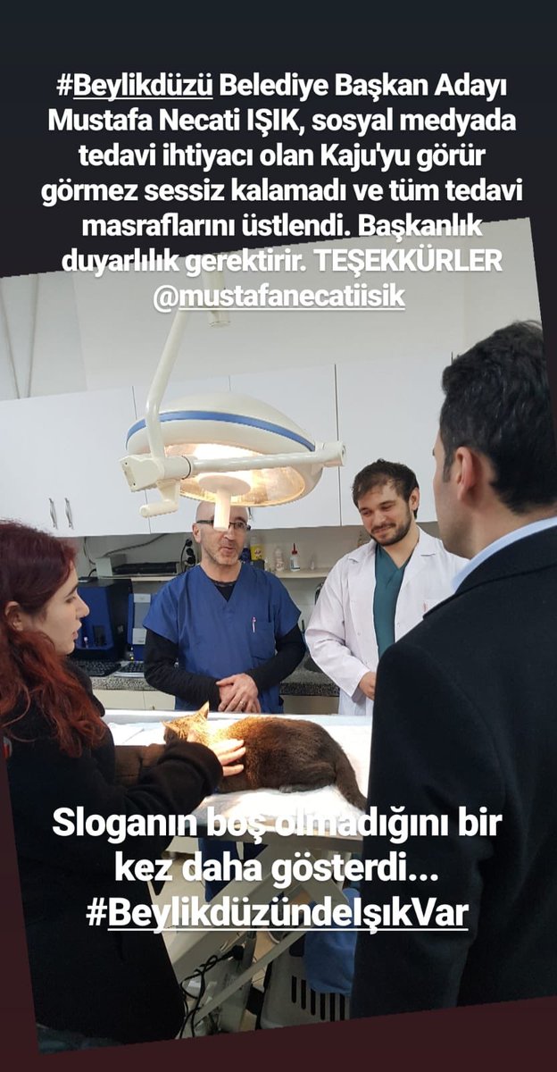 Sevdadalgic's tweet photo. @mnecatiisik  çok teşekkür ederiz 
Kedimiz Kaju’na ışık oldunuz 🙏🏽 https://t.co/c2xIMlfFFM