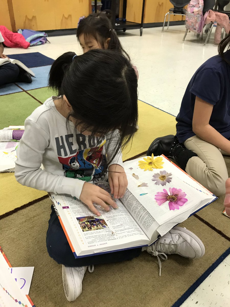 DeLong3rdgrade's tweet photo. Our flowers are pressed and ready to make some art! @_theschucrew #flowerart #PLIgniteTheLight @PLSamHouston https://t.co/7mYLg7j3fi
