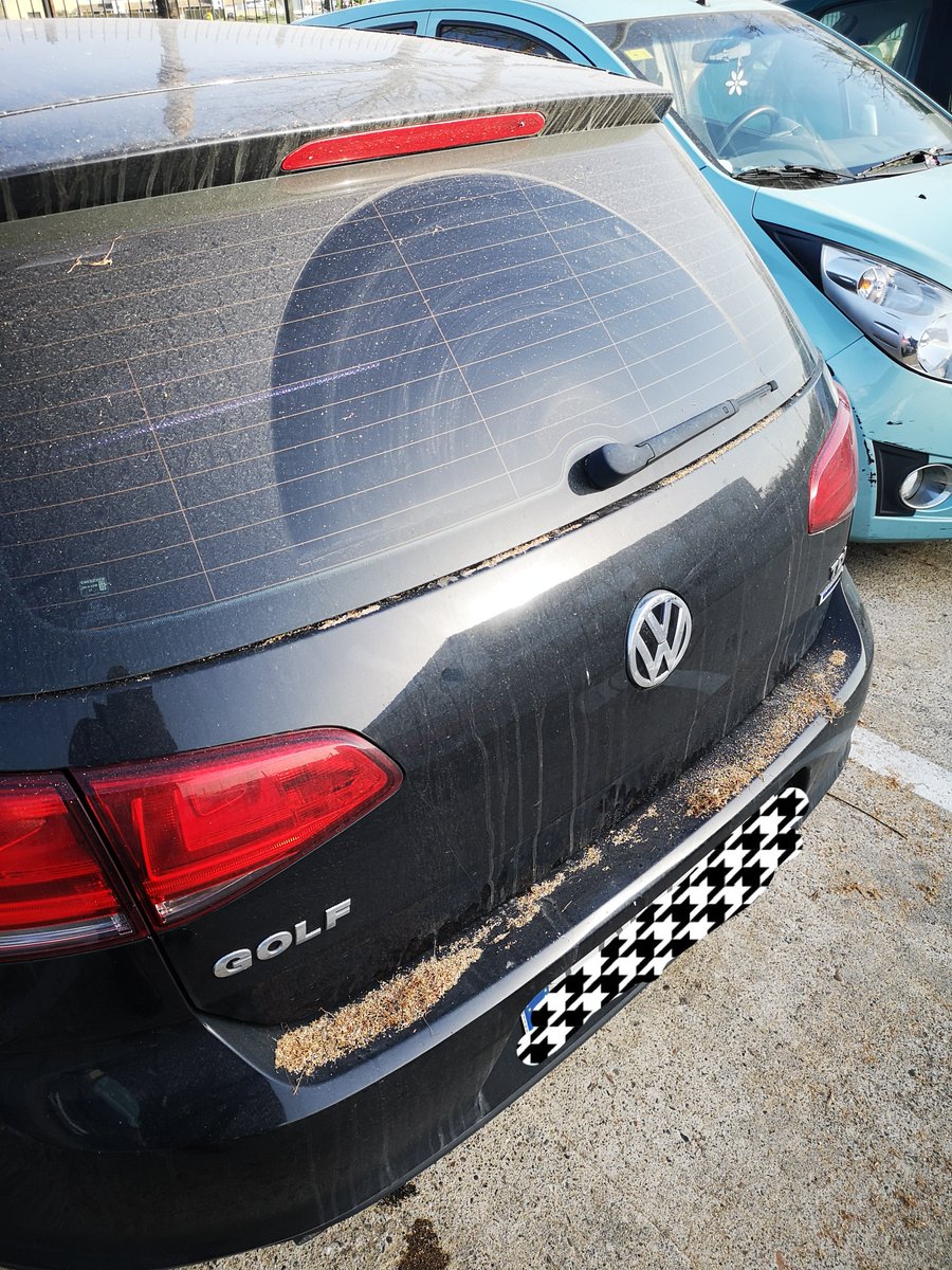 Oscar Garcia tweet media