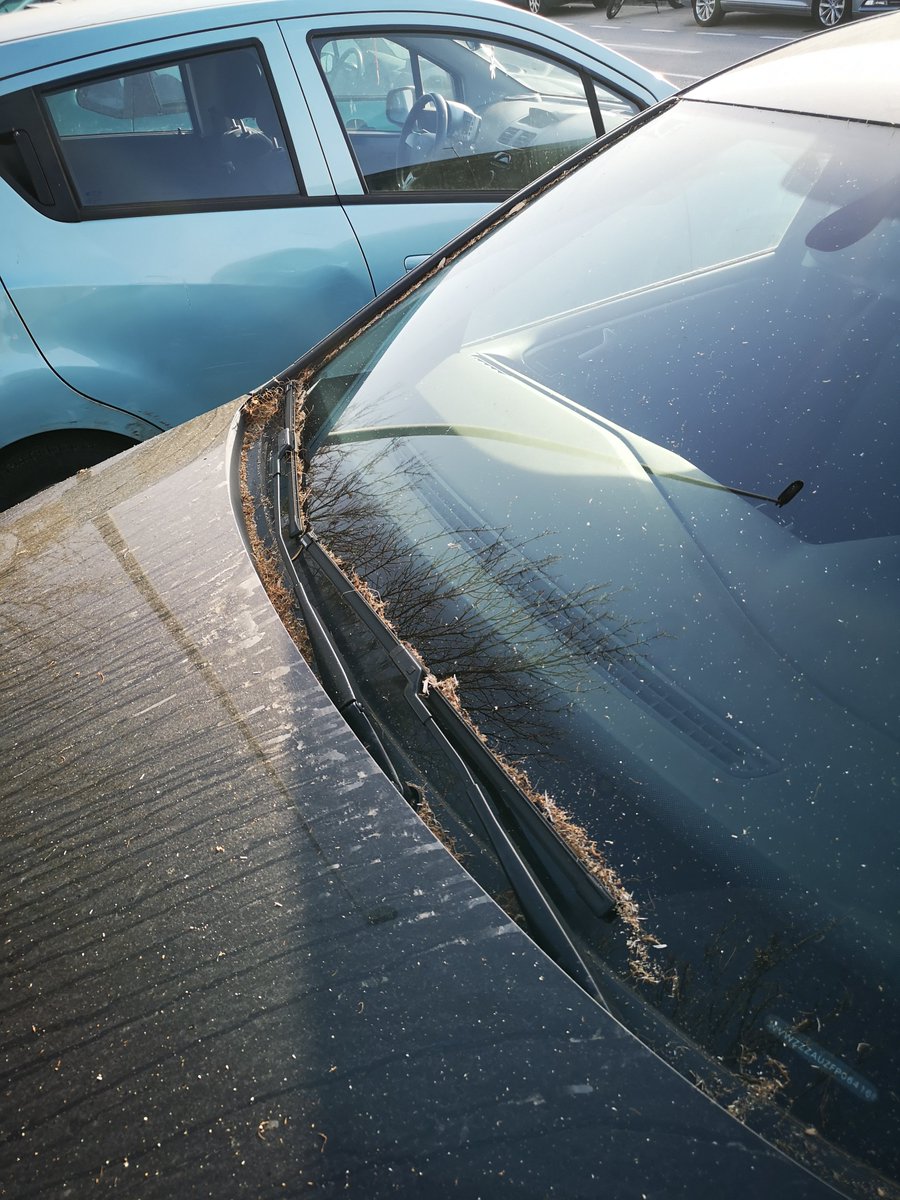 Oscar Garcia tweet media