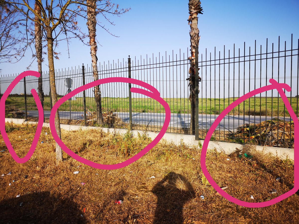 Oscar Garcia tweet media