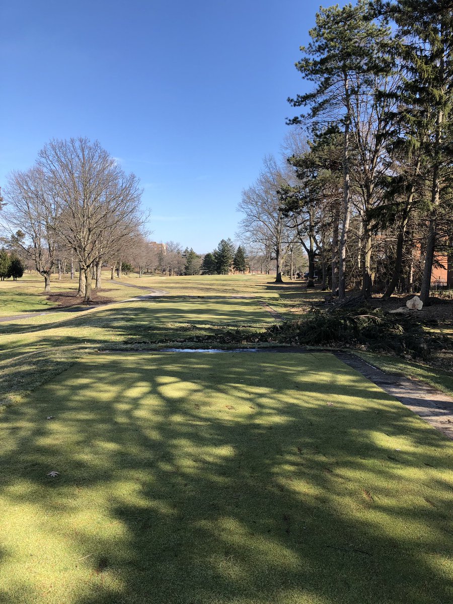 SHCCTurf's tweet photo. Nice new look from 2 and 3 tee! #treework #newday https://t.co/BYSlEnpHs9