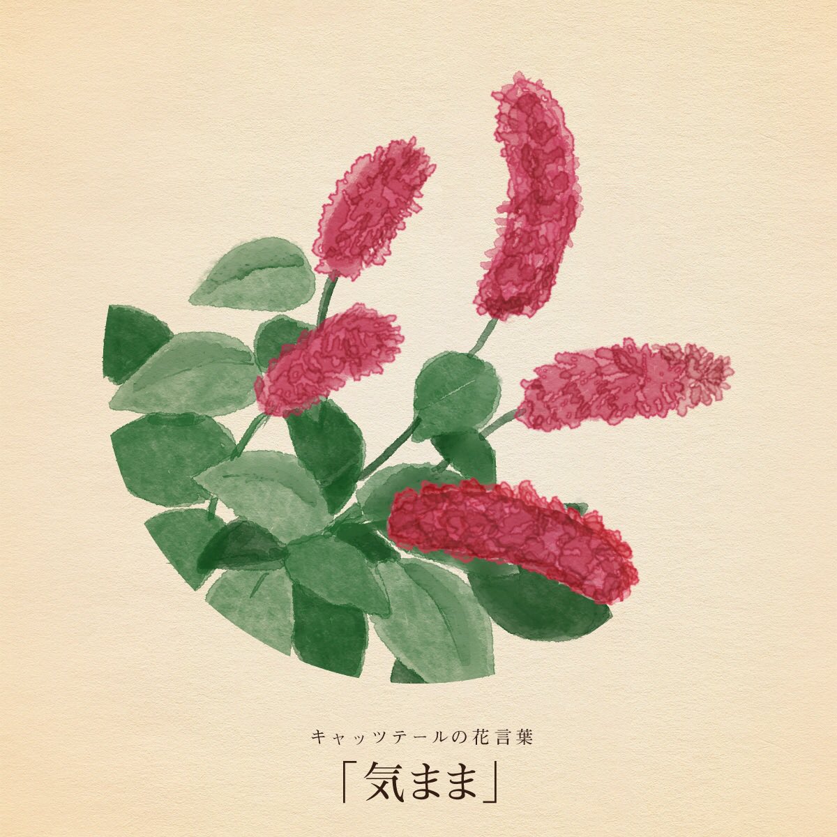 はな言葉 葉菜桜花子 新作ドレスできました きょう2月22日は 猫の日 222 がネコの鳴き声 ニャン ニャン ニャン と読めることから キャッツテールの花言葉は 気まま T Co Lcjlcjazpc Twitter