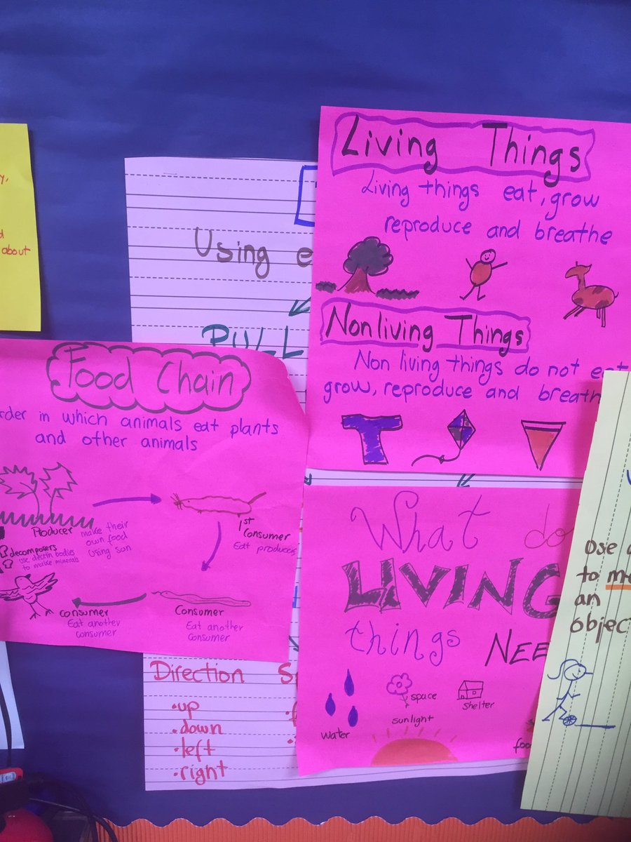 ddp4jc's tweet photo. Students @smithacad in @TemporalAR class are describing and identifying  parts of the plant, well done! https://t.co/4UbmoQqCvd