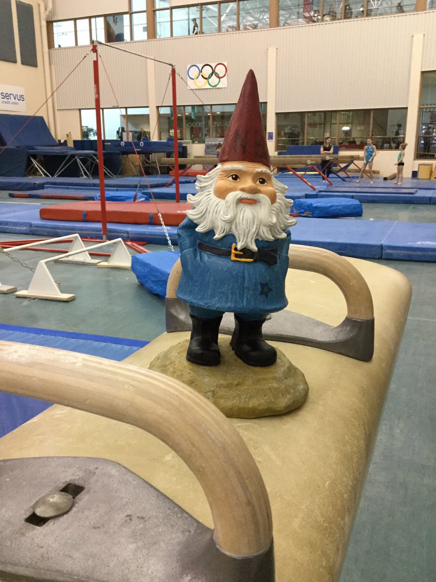 NBCanGamesGnome's tweet photo. PUMMEL TIME! Off to see @Team_EquipeNB gymnast participate in men’s vault final. #CGGymnastics https://t.co/ijpReamQgX