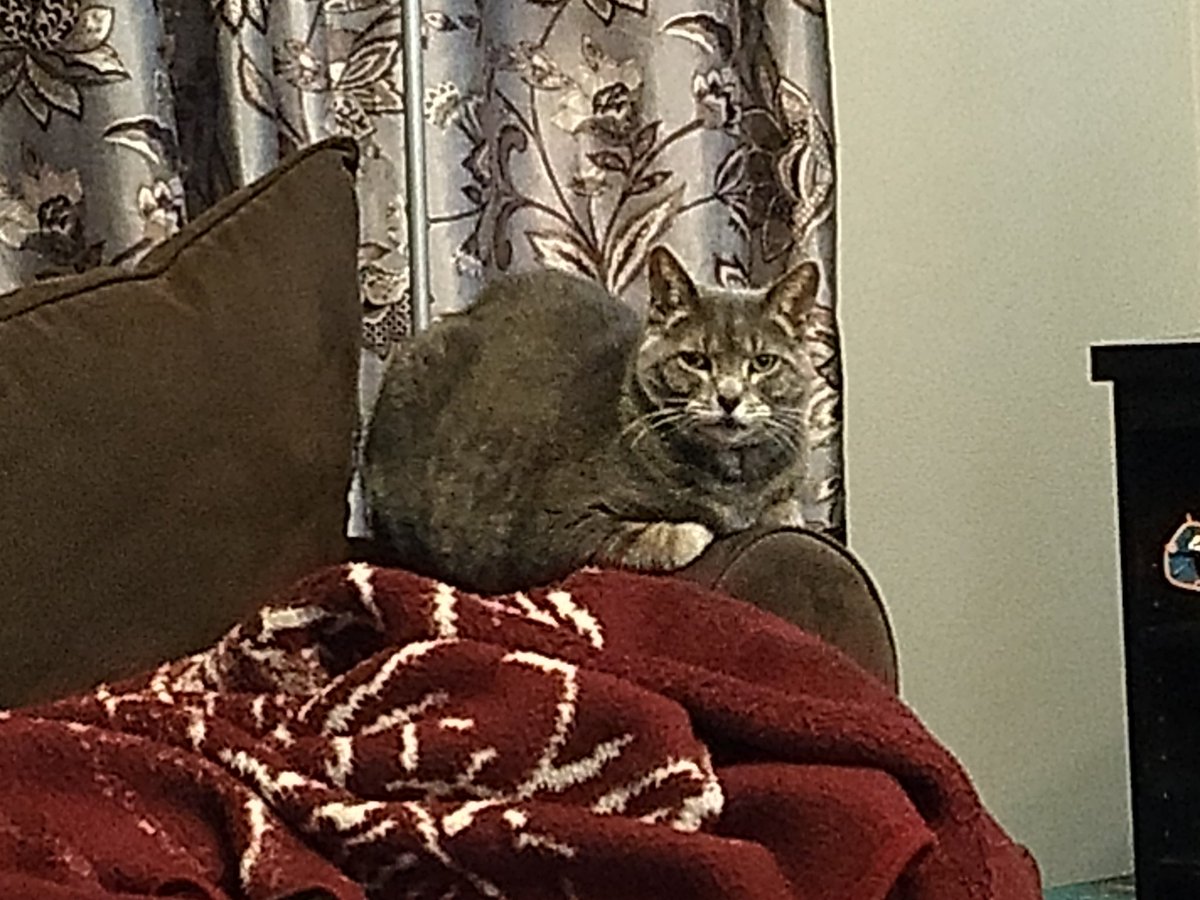 Daisy On Twitter Hewaitsatrlyeh Why Is She Staring At Me
