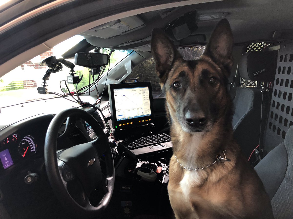 Richland County Sheriff's Dept. tweet media