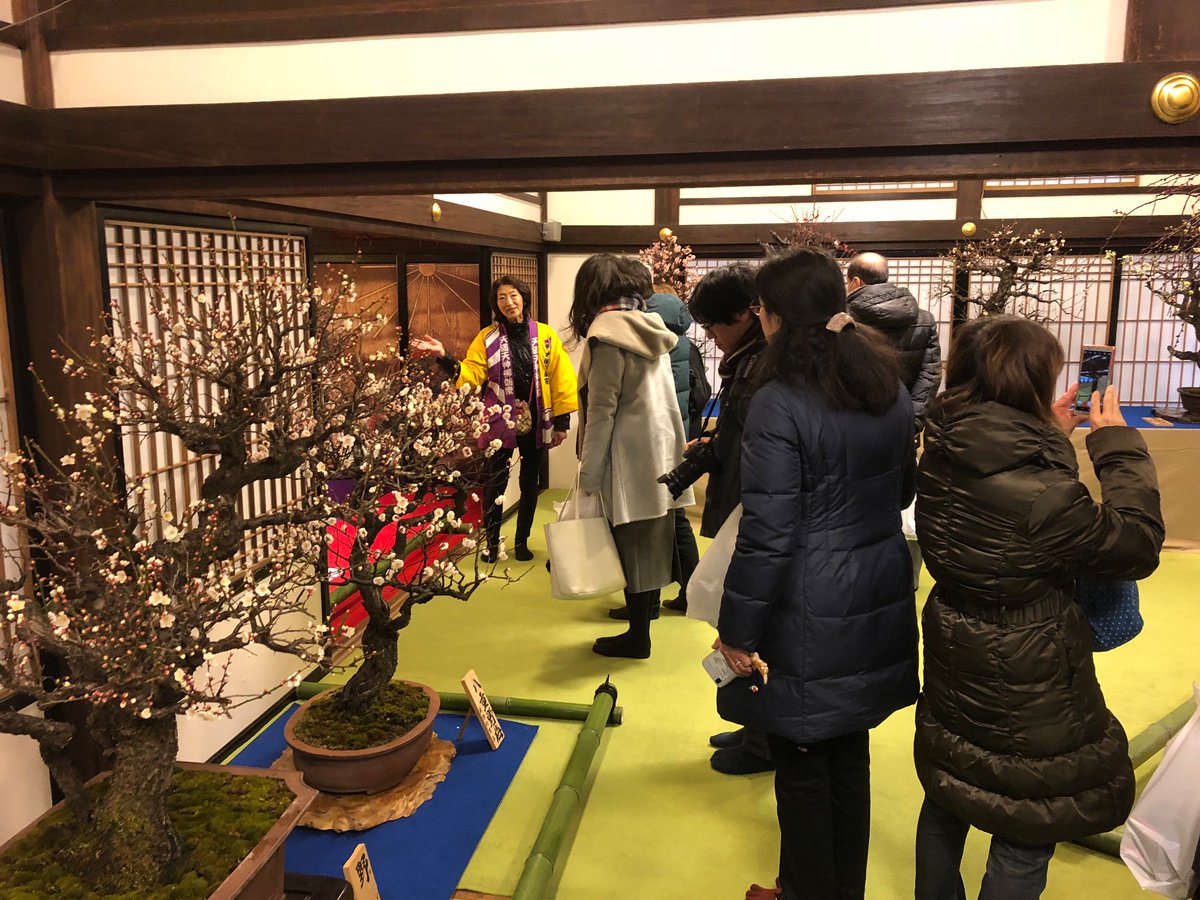 てんま天神梅まつり てんま天神梅まつり