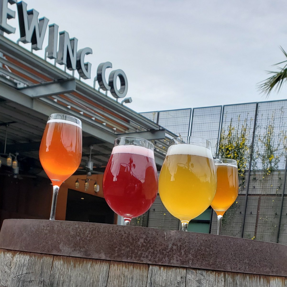 eobrewingco's tweet photo. What's your flavor? 

Left to right  - Sour Cherry Pineapple, Sour Blackberry Raspberry, Sour Bradford Watermelon, &amp;  Undeniable Charm. #cherrypineapple #🍒🍍 #sourwatermelon #🍉beer #fruitedsours #funkysours #brettanomyces #pediococcus #lactobacillus #sourblackberryraspberry https://t.co/GB54mS7PQG