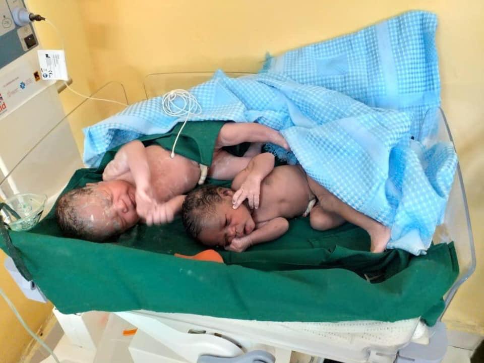 Steve Adudans tweet media