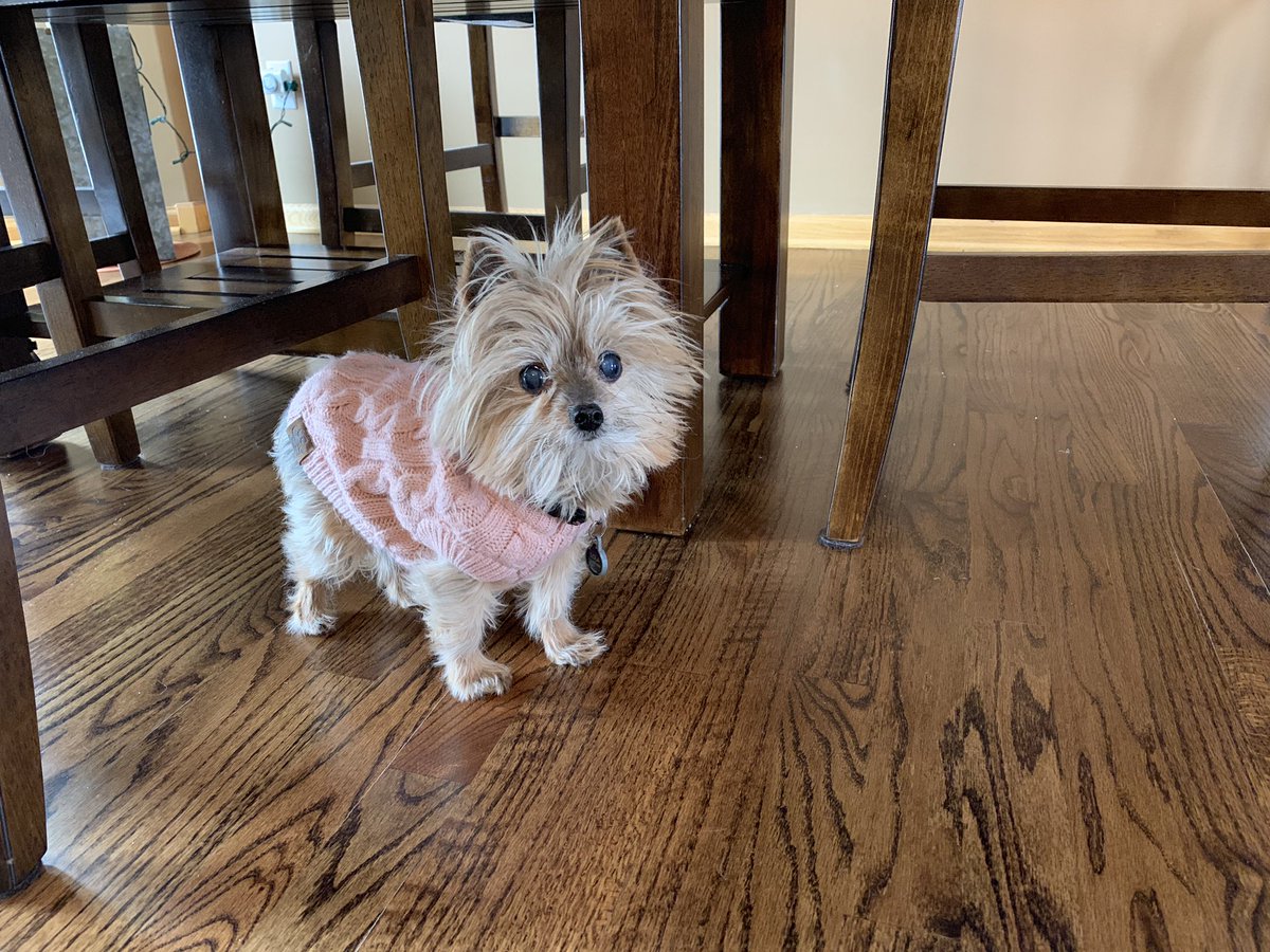 Chunky sweater weather in MN! #jaxtaylor