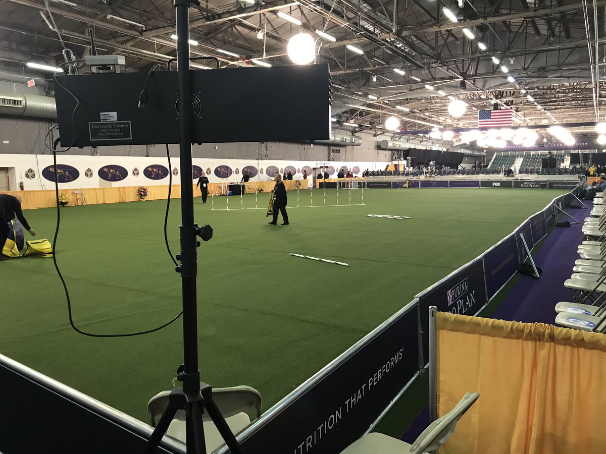 local_1212's tweet photo. Westminster Agility Show at the Pier. Fox and IBEW getting ready with the 🐕 ‘s https://t.co/Dead4jieU5