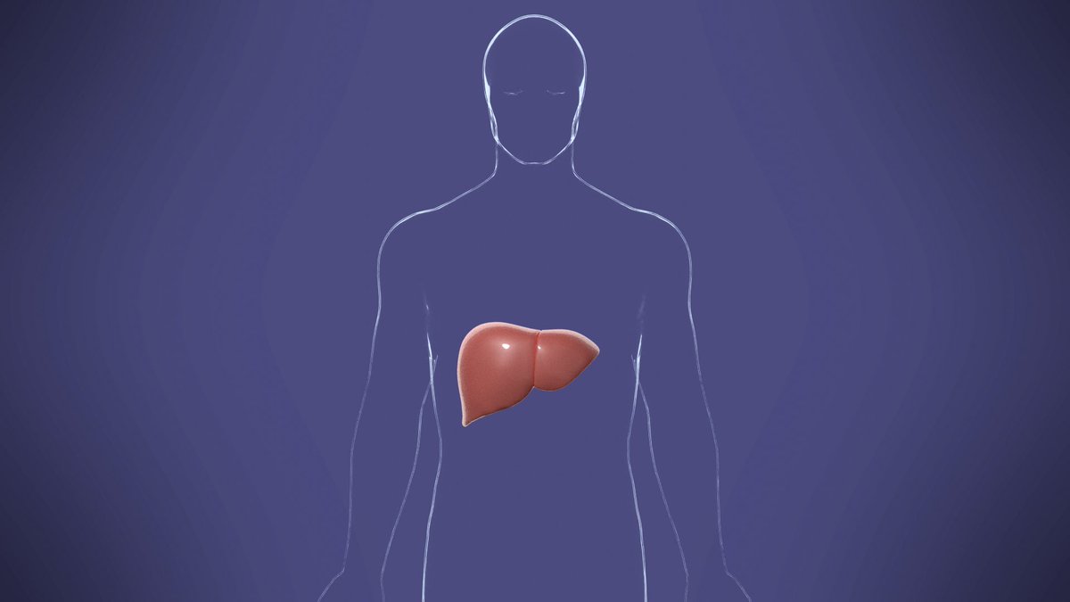 JackScienceWalk's tweet image. I'm releasing a new animation later today on how your liver processes alcohol. #SciArt #alcohol #biochemistry #b3d
