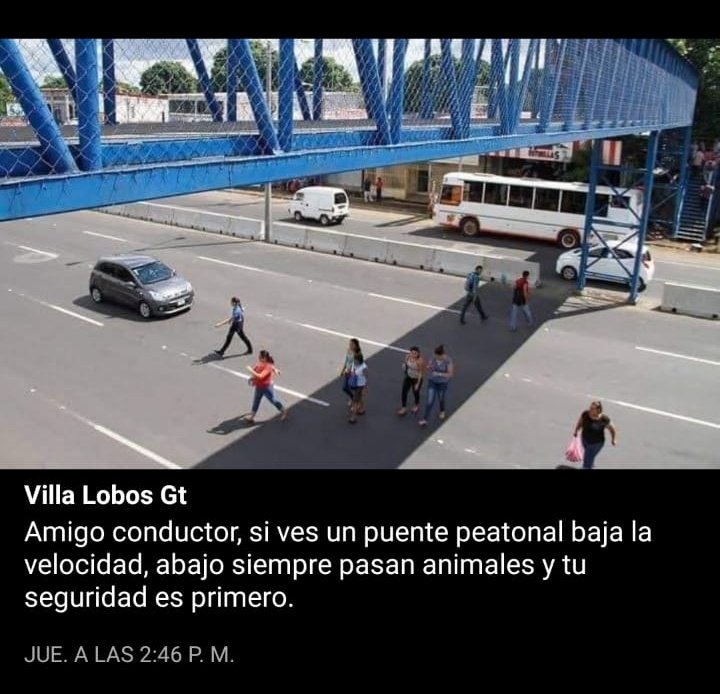 dhidalgo65's tweet photo. Proyección elitista extrema, desde el privilegio de la minoría en carro
Quien diseñó esa vía y ese puente anti-peatonal ES el animal 
Debemos pensar en (y hacer) infraestructura para personas no para máquinas 
#NoMasPuentesAntiPeatonales
@LigaPeatonal @Fundapeaton @IFPedestrians https://t.co/7w66BnJEt0