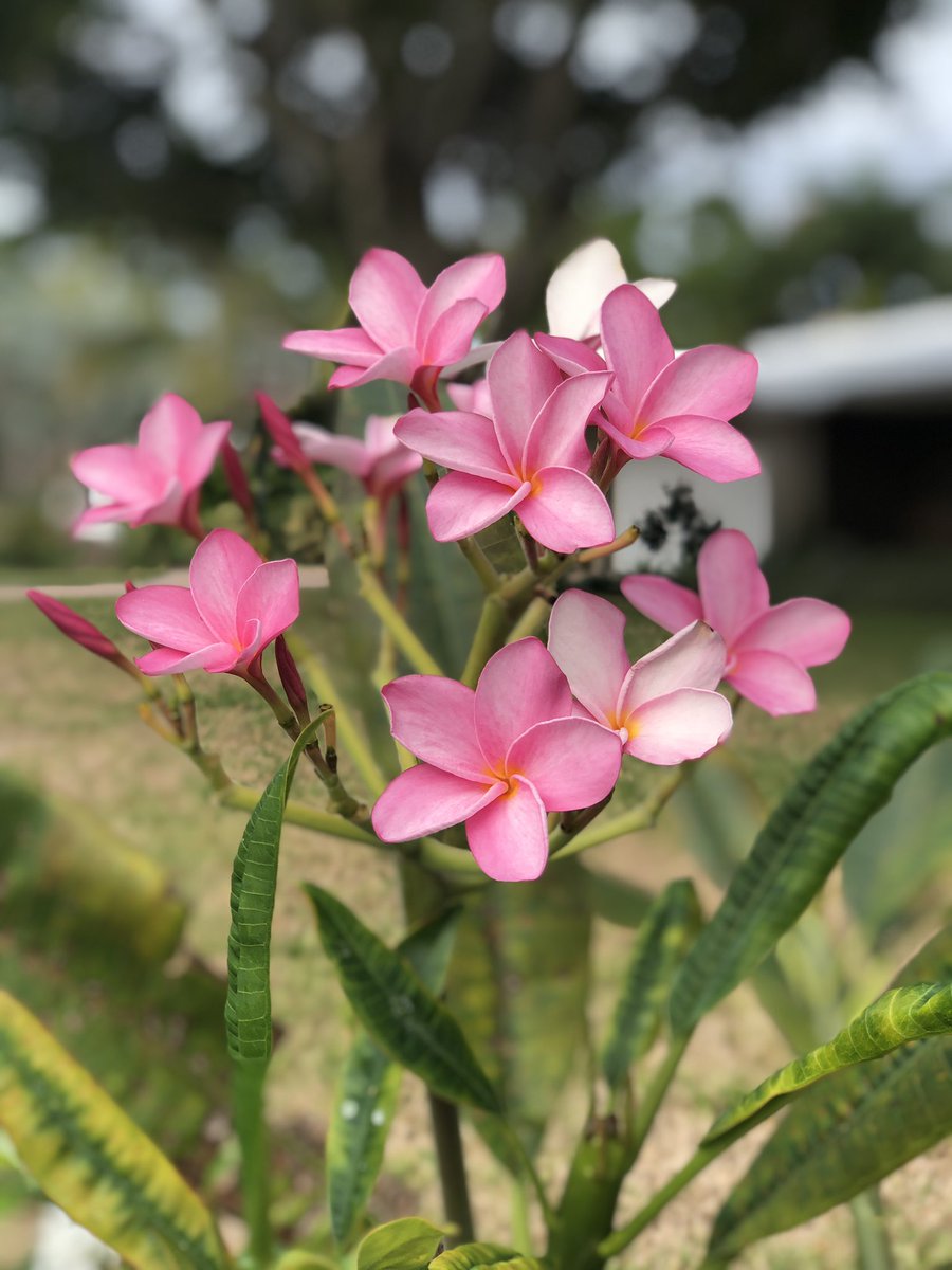 Sending warm vibes to all my friends up north!