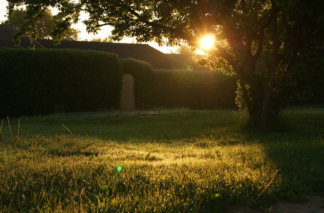donerightLawn's tweet photo. Bring some light to your home's exterior with your very own outdoor landscape lighting! 

#landscapelighting #landscaping #landscapelighting

https://t.co/I0Byzf42TL https://t.co/CjEvz5f7ZM