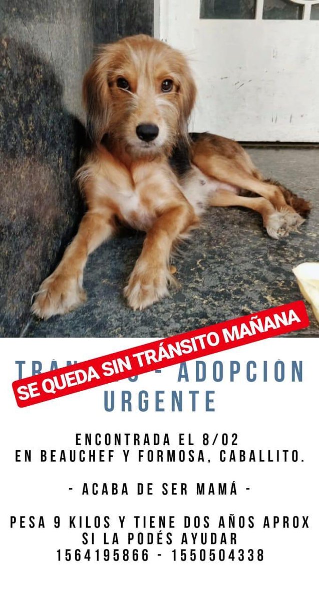 ATENCIÓN! Necesitamos difusión