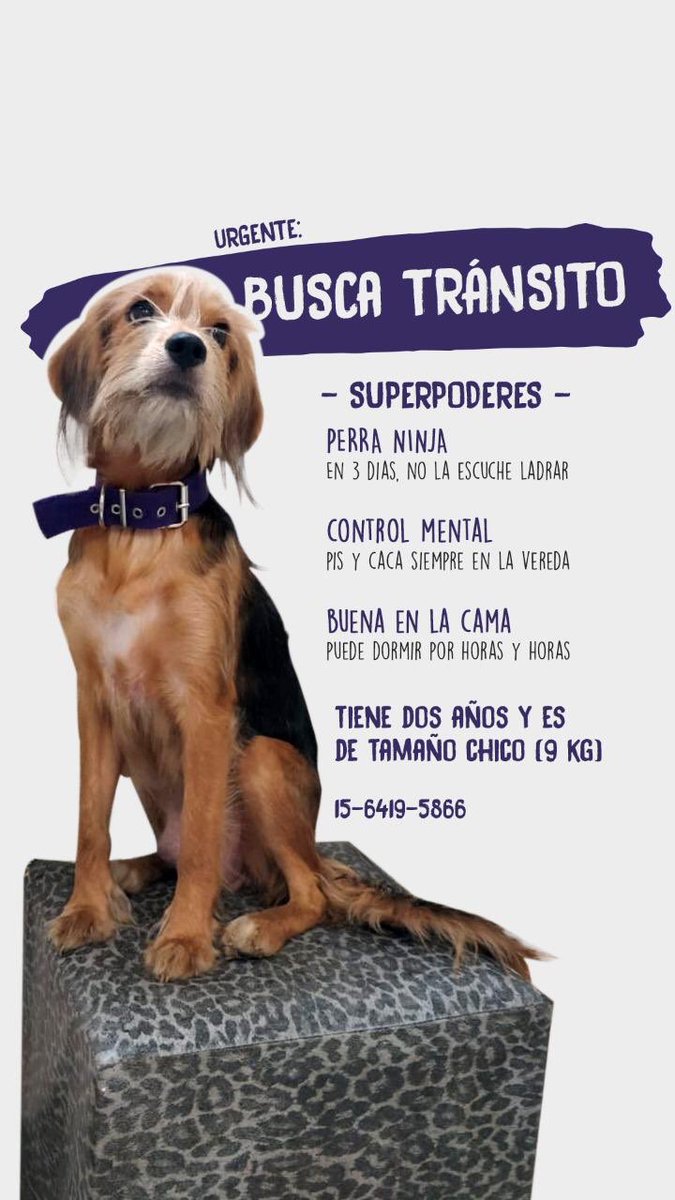 Pluv_Arg's tweet photo. ATENCIÓN! Necesitamos difusión https://t.co/s1GzUqd7yM