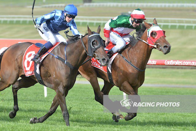 Racing at Naracoorte today with Simply Splashing who goes around in race 3 at 2:36pm. Best of luck to all our connections!