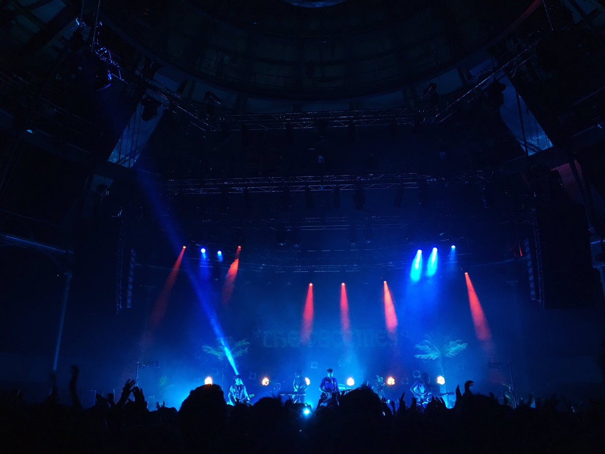 SUPERMegAN 🌱🐦 tweet media