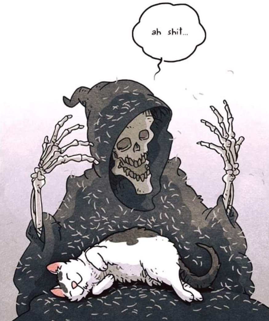 YSO_CRS's tweet photo. @_TheRealDeath @DeadZombie_girl
@GrimReaperInc
#GetSome #Caturday #MWCL https://t.co/HeDNO3W3Ou