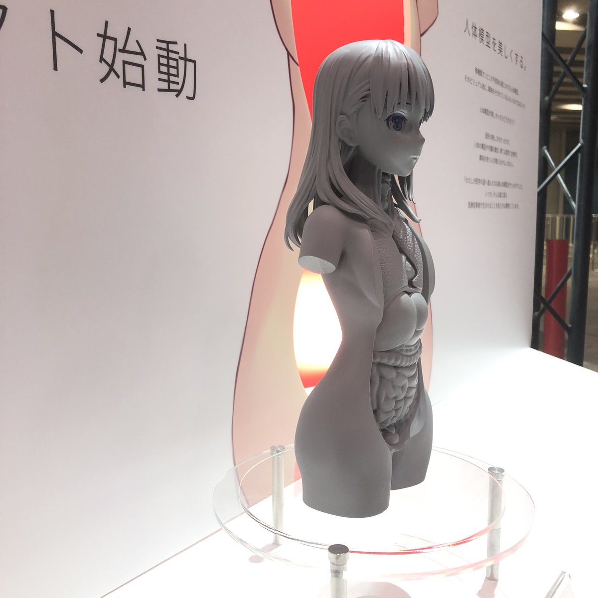 またか 美人体模型に例の奴らがまた来た Togetter またか 美人体模型に例の奴らがまた来た Togetter