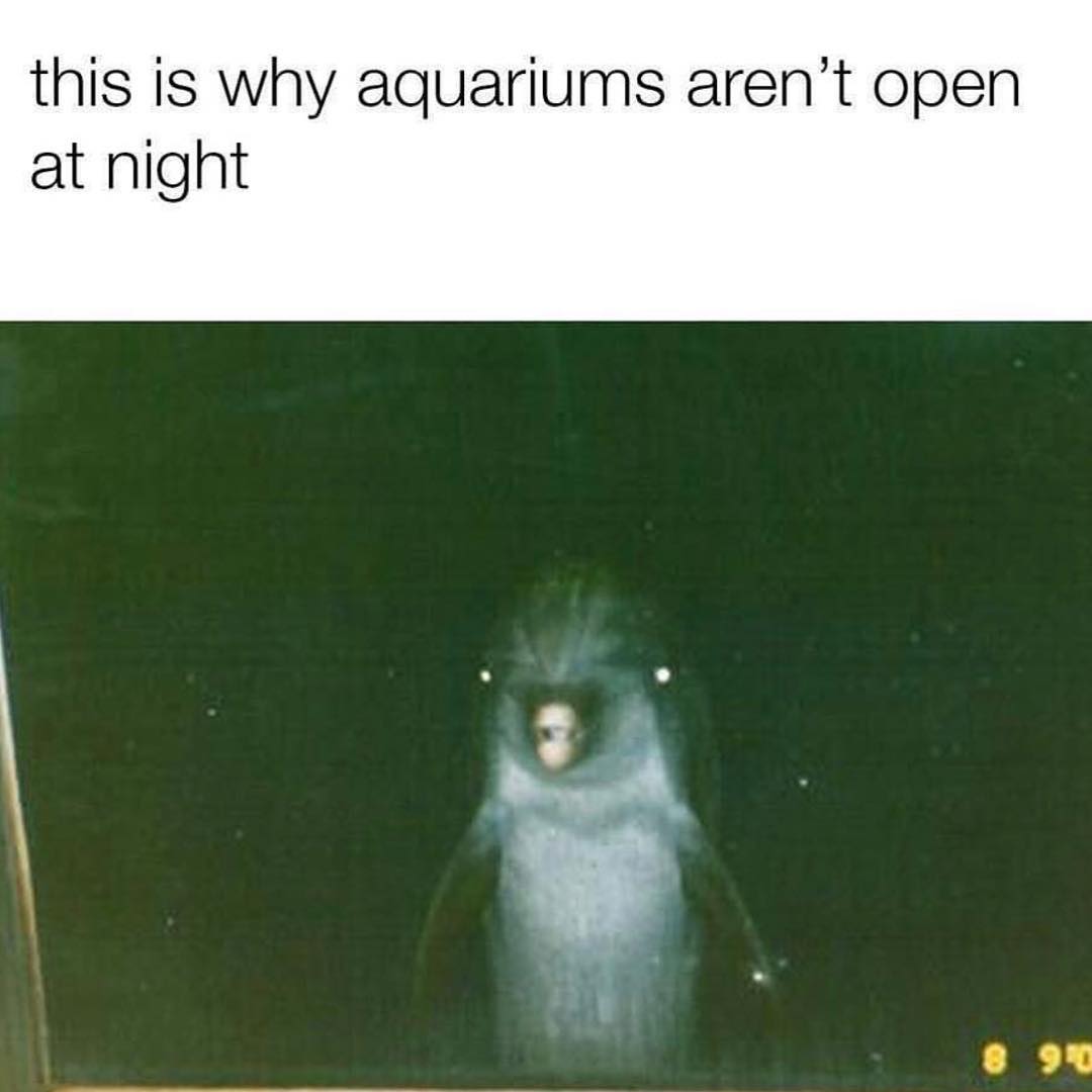 I hope this makes everybody feel better | @B1LL_G4T3S | Memes, image size:1080x1080