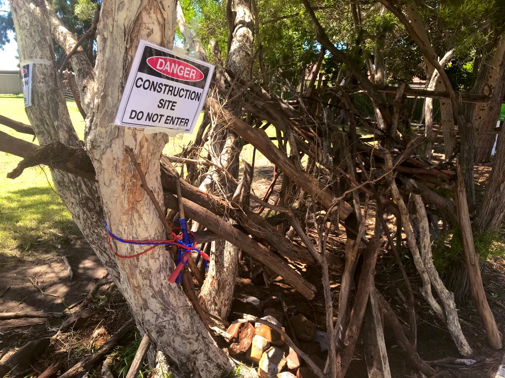 Tiffany Sinton tweet media