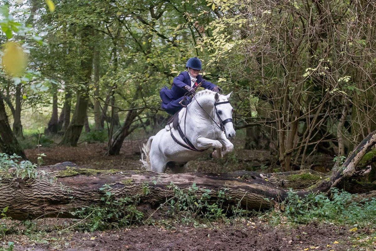eqballerina's tweet photo. I recently had the pleasure of getting to know Katie Ockendon-Evans who is a successful national side saddle competitor and coach

Learn more at https://t.co/AktJl15xDB
#horsebloggers #equineblogshare #haynet #equestrianblogger #horsehour #ponyhour https://t.co/4xV86LxXbh