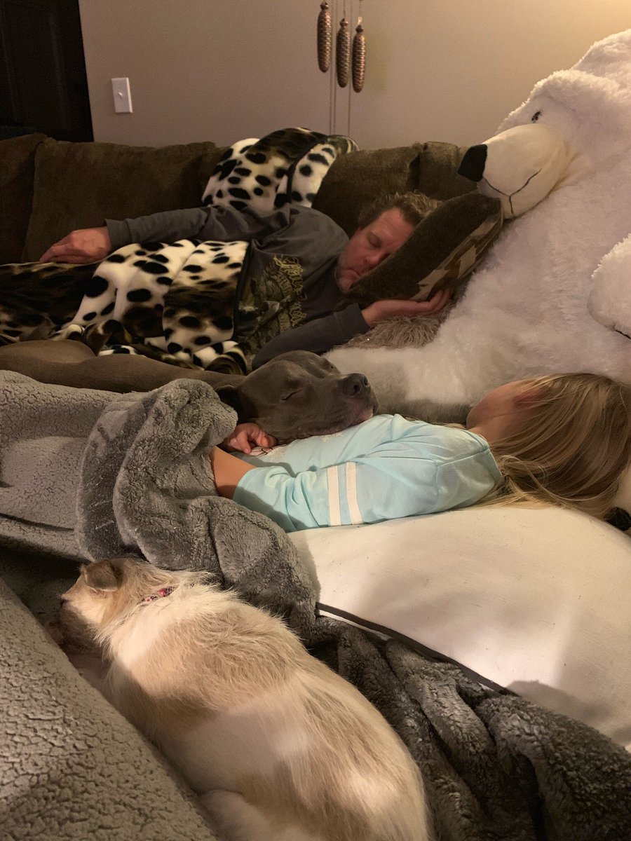 GoodlinKatrina's tweet photo. PiTbUlLs ArE aN aGgReSsIvE bReEd https://t.co/ySVppcRoa8