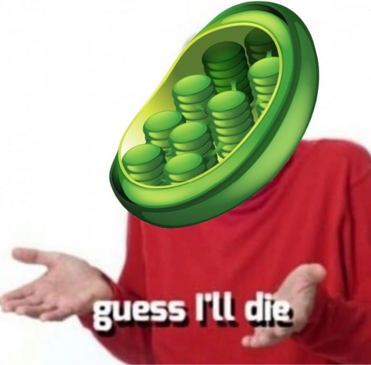Membrain4P's tweet photo. @ForChloroplast @MsDSacco Without the cell membrane, of which you have TWO, you wouldn’t be able to control what ions, molecules, and metabolites enter and/or leave. So essentially, this would be you without my client: #dealwithit #cellc2k19 @MsDSacco https://t.co/rZ4JygGYWv