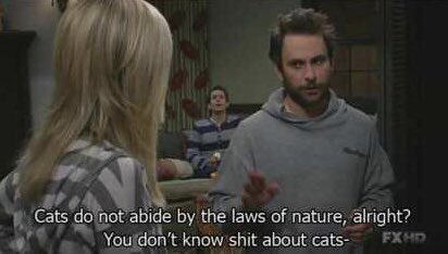 Happy birthday Charlie day!! 