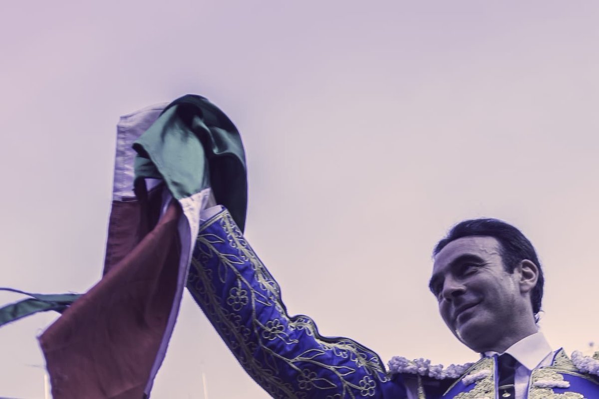 Feria Toro tweet media