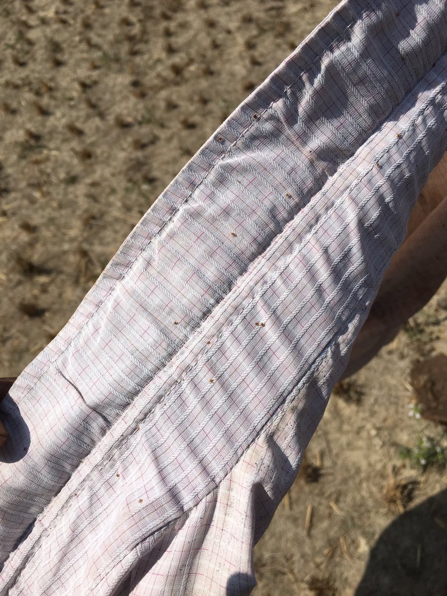 MonkeyFever_'s tweet image. Met a forest worker today who had at least 30 questing nymph ticks inside his shirt #MonkeyFever #OneHealth #ticks