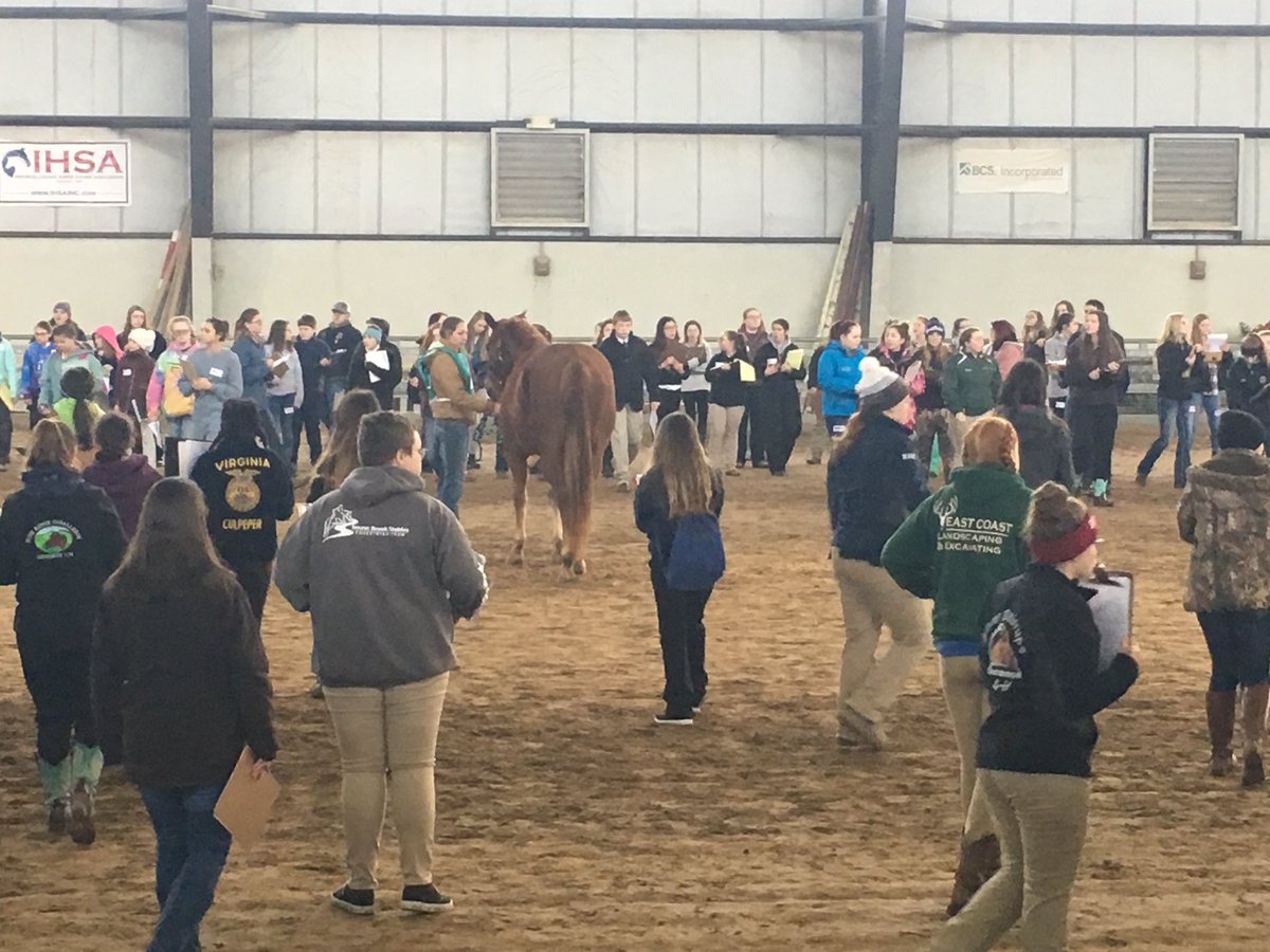 louisahsffa's tweet photo. LCHS placed 11th in Hippology and 5th in Horse Judging!! Great job team!! #horsejudging #hippology #careerdevelopmentevents https://t.co/EpvpvSvLdB