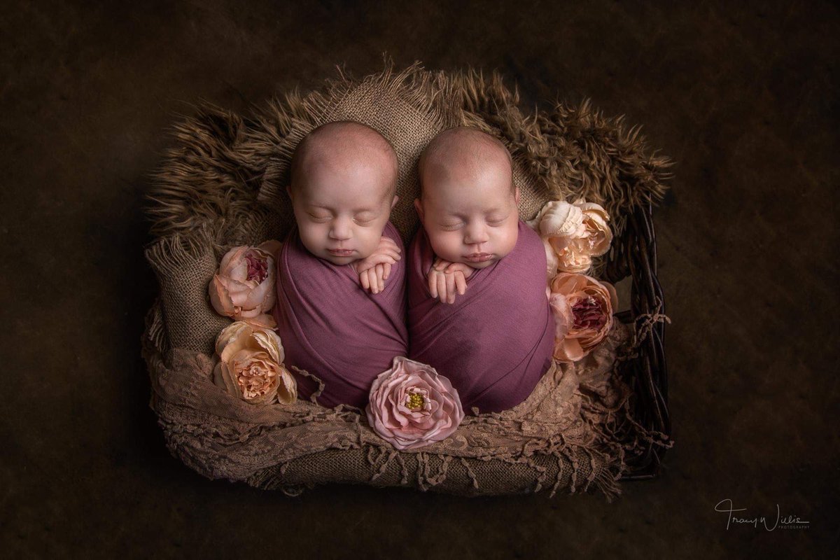 I do so love photographing twins ❤️#twins #photograph #newbornphotography #photographytraining