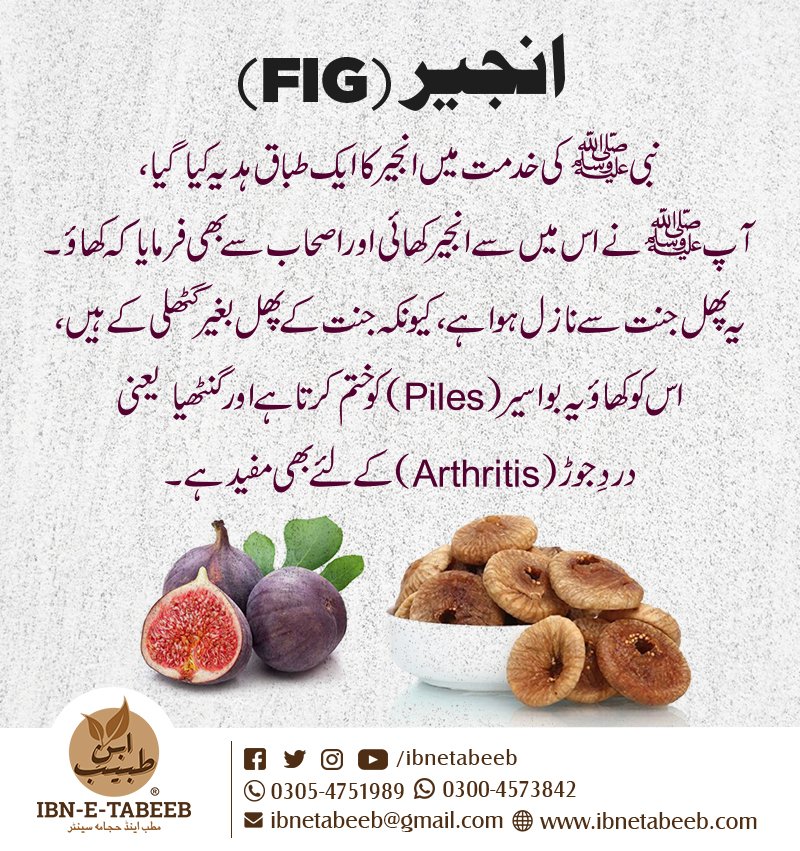 ibnetabeeb's tweet photo. انجیر اور فرمانِ رسولﷺ

https://t.co/7toVLIvjdo
https://t.co/lHSAHw9Vhm
https://t.co/TPyBopq417
https://t.co/OmyHaEk2ub

#ibnetabeeb #hakeem_muhammad_zia #dawakhana #tibb_e_nabvi
#qanoon_mufrid_azaa https://t.co/A2BIlSd38r