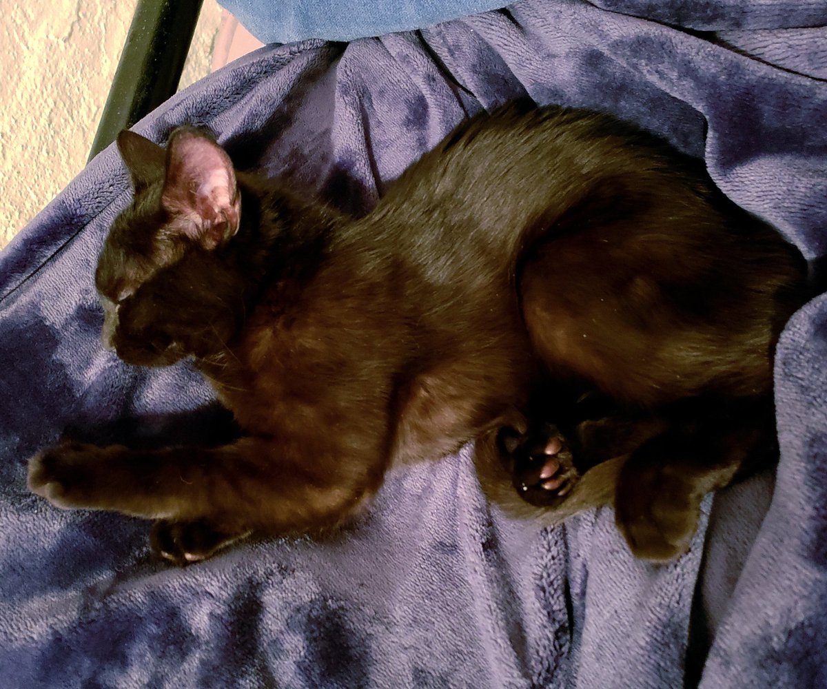 We're staying in tonight.