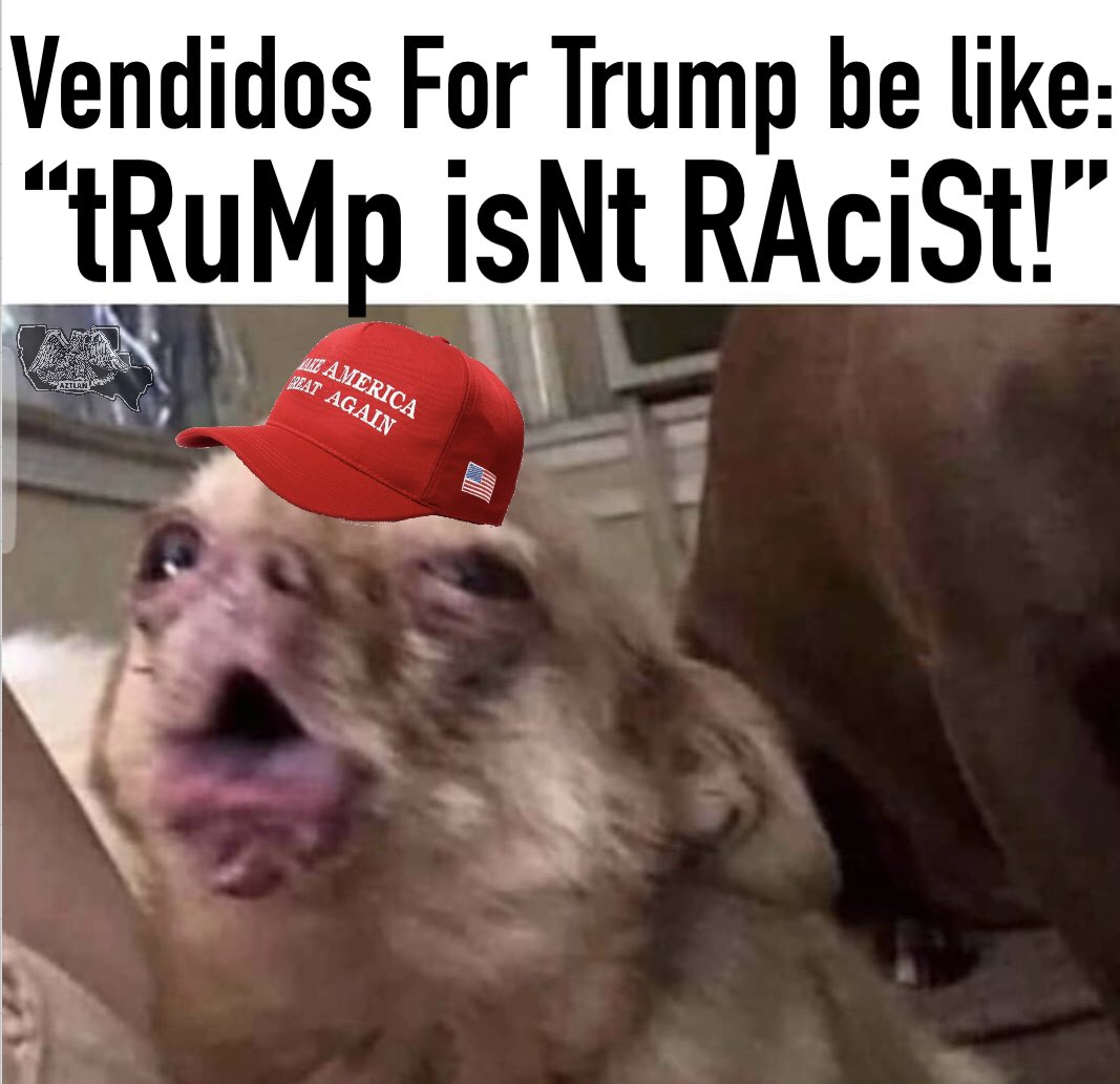 RazaUnidaParty's tweet photo. #latinosfortrump #vendidosfortrump #coconutsfortrump #sellouts #vendidos #latinx #latinos #latinosbelike #mexican #chicano #chicanomemes #laraza #fuckyourwall #chingatumaga #viral #trump  #homiesfortrump #palomafortrump #backstabbers #liketrain #mexicansare https://t.co/wCauYNDVGZ