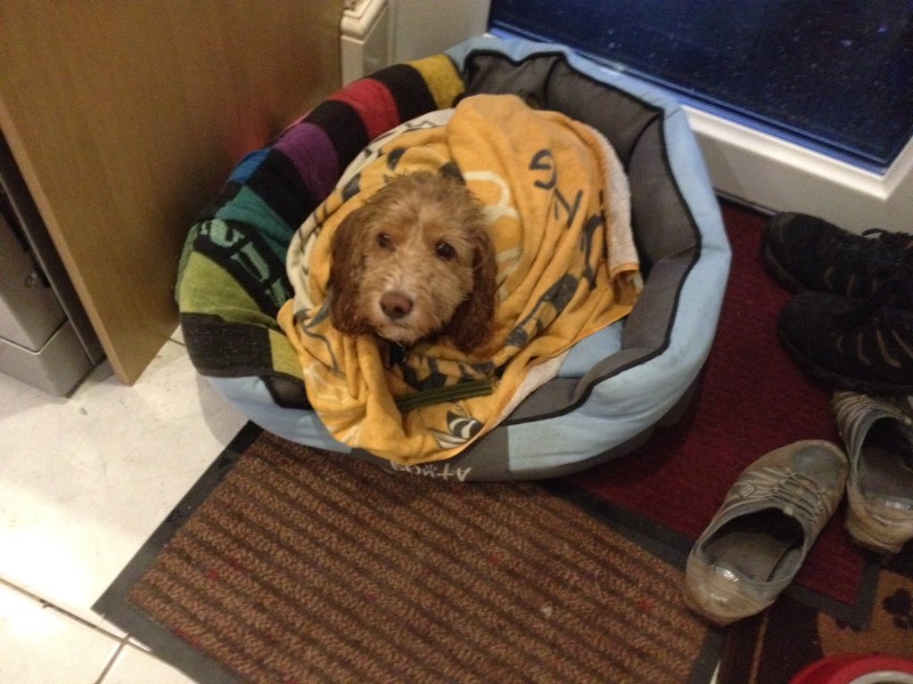 🍓🥦TheGrocerOnTheGreen🥕🍏 tweet media