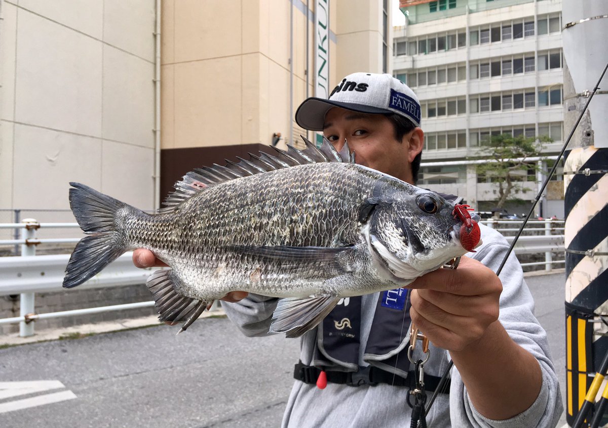 Ochiai_R59's tweet photo. ジュンク堂裏の細い水路で黒いのが釣れました。
那覇市内のポイントを2ヶ所ほど見ましたが流れがなくて…
小場所でサイトしてみました。
#reins #AXCraw #NewColor
#FAMELL #山豊テグス https://t.co/maHN5JiUvs